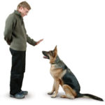 Puppy Class/Basic Obedience Begins January 9th.