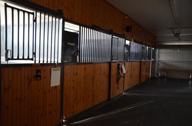 The Equine Barn