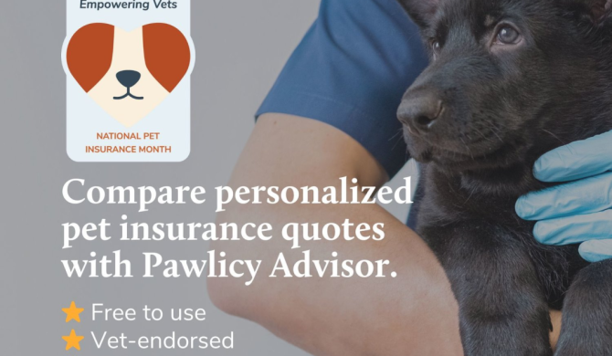 Find The Right Insurance Plan For Your Pet